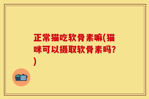 正常猫吃软骨素嘛(猫咪可以摄取软骨素吗?) 正常猫吃软骨素嘛(猫咪可以摄取软骨素吗?)