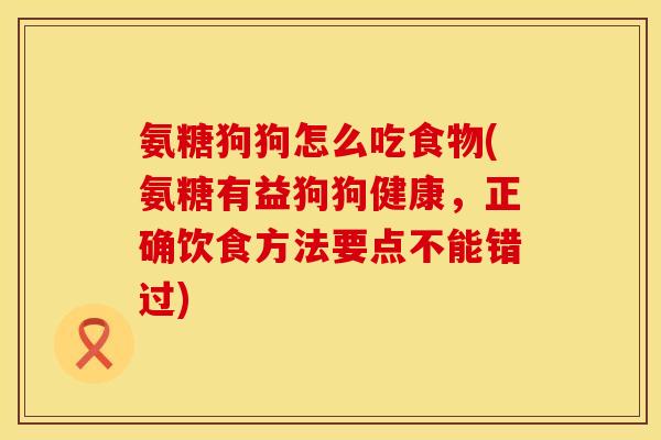 氨糖狗狗怎么吃食物(氨糖有益狗狗健康,正确饮食方法要点不能错过)
