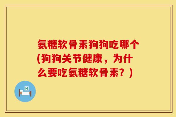 氨糖软骨素狗狗吃哪个(狗狗关节健康，为什么要吃氨糖软骨素？)