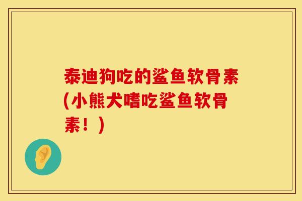 泰迪狗吃的鲨鱼软骨素(小熊犬嗜吃鲨鱼软骨素!)