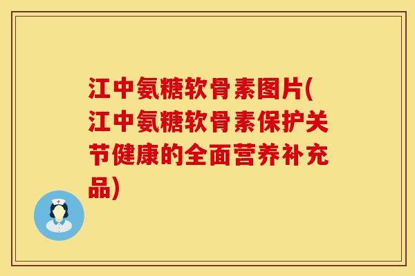 江中氨糖软骨素图片(江中氨糖软骨素保护关节健康的全面营养补充品)