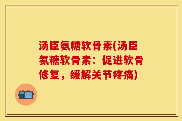 汤臣氨糖软骨素(汤臣氨糖软骨素：促进软骨修复，缓解关节疼痛)