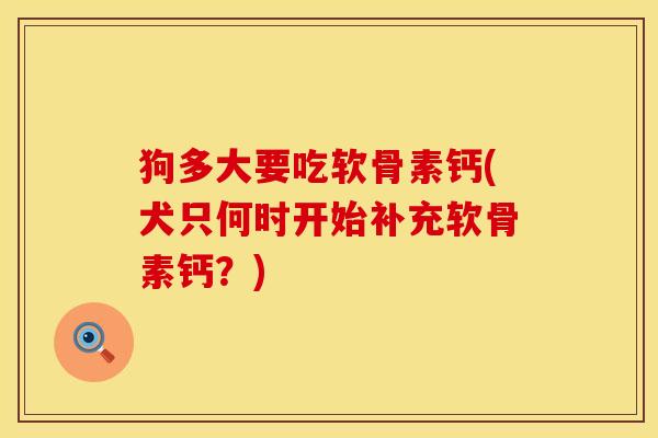 狗多大要吃软骨素钙(犬只何时开始补充软骨素钙？)