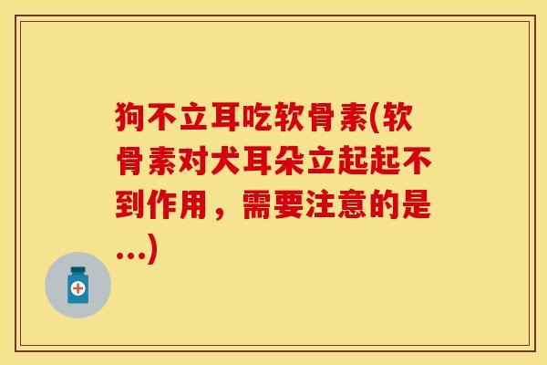 狗不立耳吃软骨素(软骨素对犬耳朵立起起不到作用，需要注意的是...)