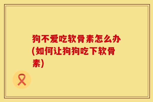 狗不爱吃软骨素怎么办(如何让狗狗吃下软骨素)