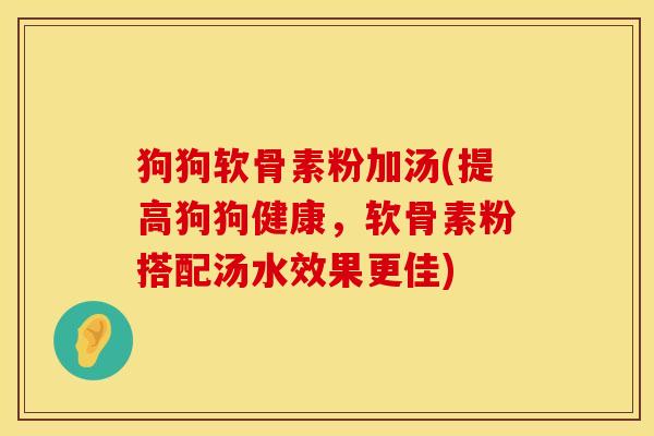 狗狗软骨素粉加汤(提高狗狗健康，软骨素粉搭配汤水效果更佳)