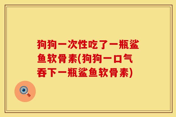 狗狗一次性吃了一瓶鲨鱼软骨素(狗狗一口气吞下一瓶鲨鱼软骨素) 狗狗一次性吃了一瓶鲨鱼软骨素(狗狗一口气吞下一瓶鲨鱼软骨素)