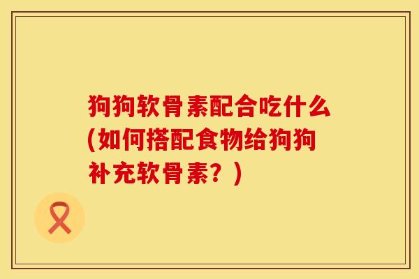 狗狗软骨素配合吃什么(如何搭配食物给狗狗补充软骨素？)