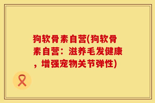 狗软骨素自营(狗软骨素自营：滋养毛发健康，增强宠物关节弹性)