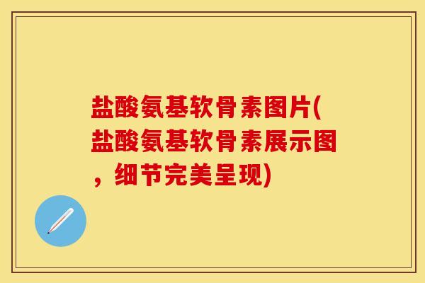 盐酸氨基软骨素图片(盐酸氨基软骨素展示图，细节完美呈现)