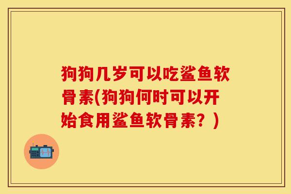 狗狗几岁可以吃鲨鱼软骨素(狗狗何时可以开始食用鲨鱼软骨素？)