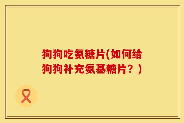 狗狗吃氨糖片(如何给狗狗补充氨基糖片？)