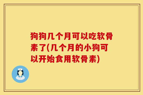 狗狗几个月可以吃软骨素了(几个月的小狗可以开始食用软骨素)