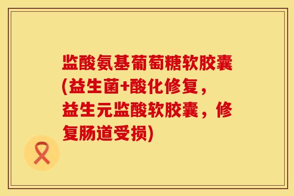 监酸氨基葡萄糖软胶囊(益生菌+酸化修复，益生元监酸软胶囊，修复肠道受损)