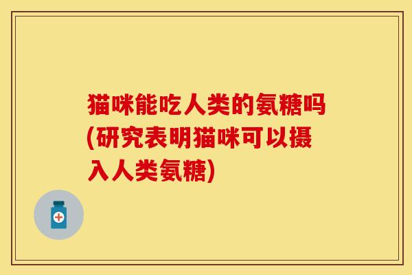 猫咪能吃人类的氨糖吗(研究表明猫咪可以摄入人类氨糖)