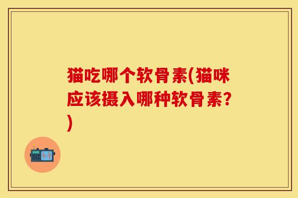猫吃哪个软骨素(猫咪应该摄入哪种软骨素?)
