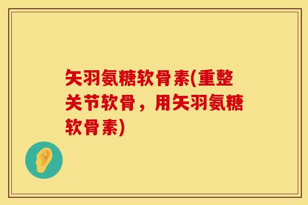 矢羽氨糖软骨素(重整关节软骨,用矢羽氨糖软骨素) 矢羽氨糖软骨素(重整关节软骨,用矢羽氨糖软骨素)