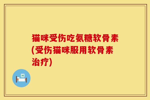 猫咪受伤吃氨糖软骨素(受伤猫咪服用软骨素治疗)