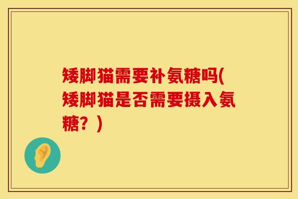 矮脚猫需要补氨糖吗(矮脚猫是否需要摄入氨糖？)