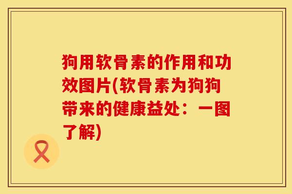 狗用软骨素的作用和功效图片(软骨素为狗狗带来的健康益处：一图了解)