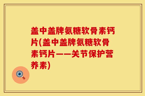 盖中盖牌氨糖软骨素钙片(盖中盖牌氨糖软骨素钙片——关节保护营养素)