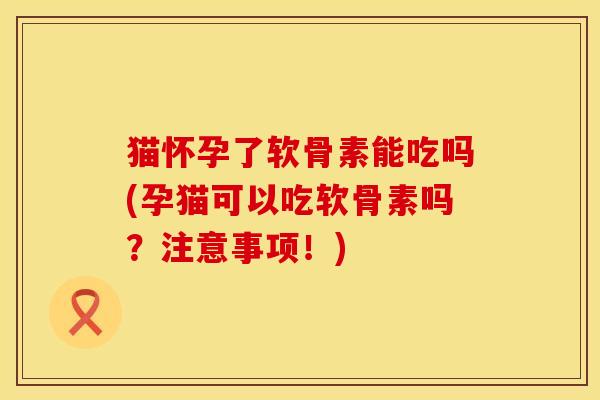 猫怀孕了软骨素能吃吗(孕猫可以吃软骨素吗？注意事项！)