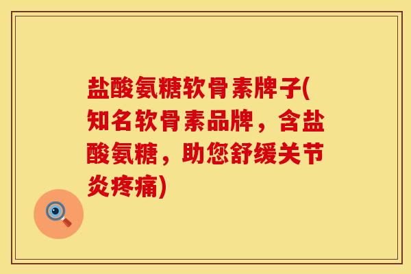 盐酸氨糖软骨素牌子(知名软骨素品牌，含盐酸氨糖，助您舒缓关节炎疼痛)