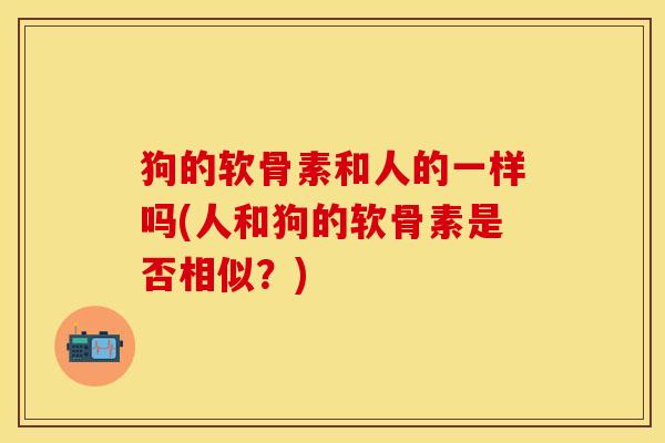 狗的软骨素和人的一样吗(人和狗的软骨素是否相似？)