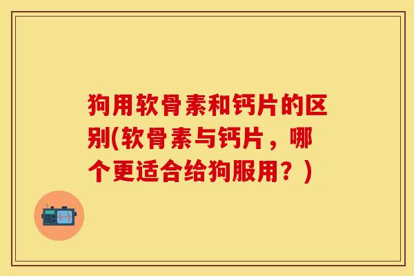 狗用软骨素和钙片的区别(软骨素与钙片，哪个更适合给狗服用？)