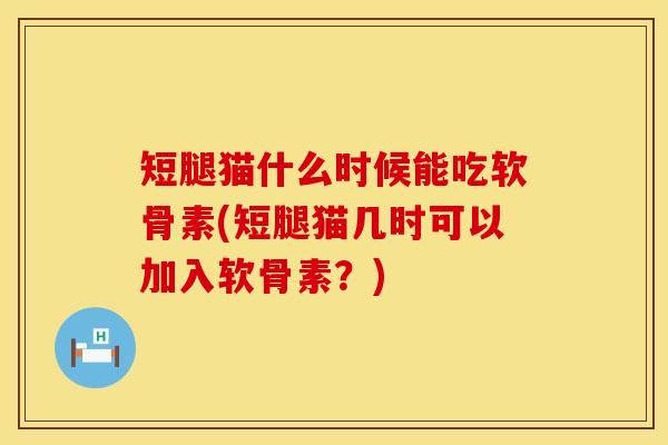 短腿猫什么时候能吃软骨素(短腿猫几时可以加入软骨素？)