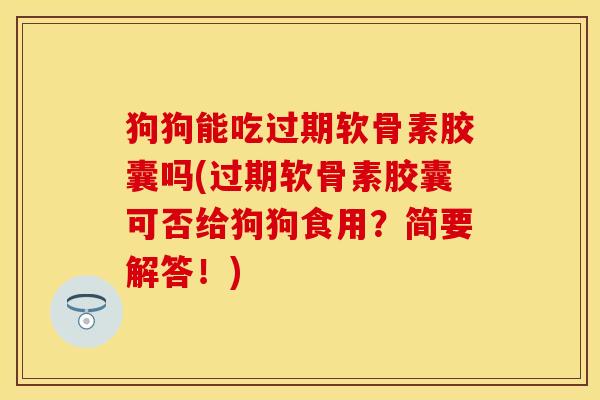 狗狗能吃过期软骨素胶囊吗(过期软骨素胶囊可否给狗狗食用？简要解答！)