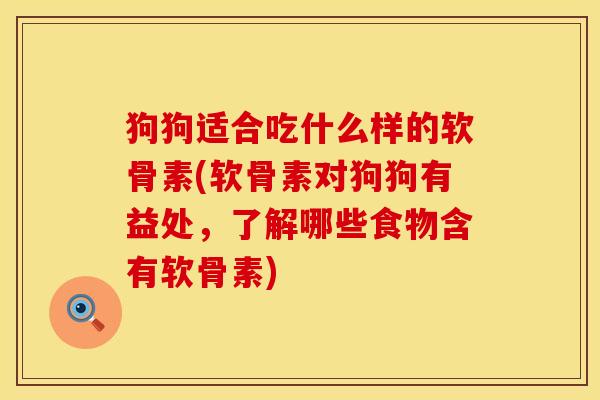 狗狗适合吃什么样的软骨素(软骨素对狗狗有益处,了解哪些食物含有软骨素)