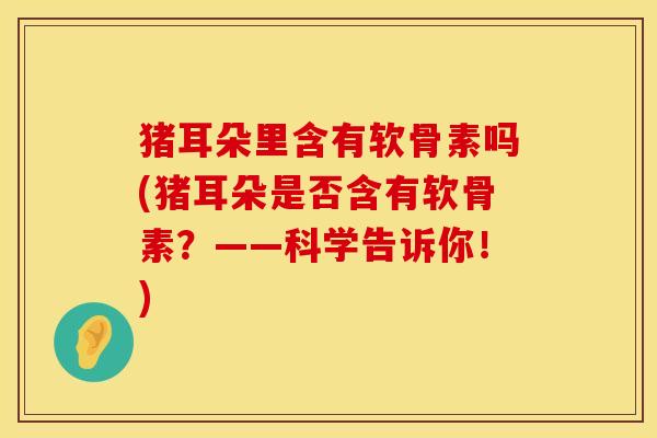 猪耳朵里含有软骨素吗(猪耳朵是否含有软骨素?——科学告诉你!)