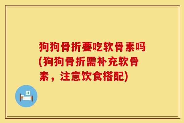 狗狗骨折要吃软骨素吗(狗狗骨折需补充软骨素，注意饮食搭配)