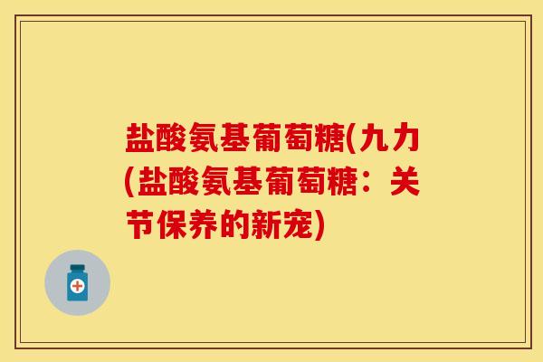 盐酸氨基葡萄糖(九力(盐酸氨基葡萄糖:关节保养的新宠)
