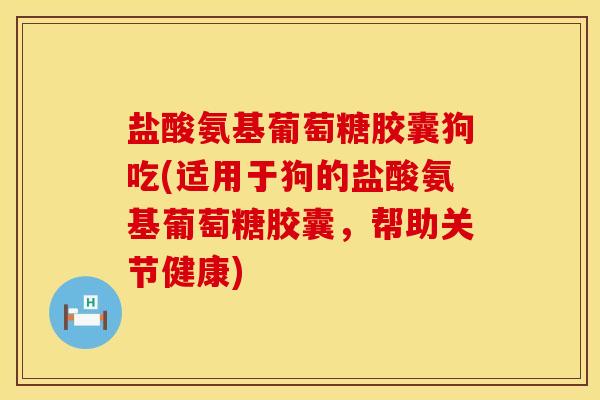 盐酸氨基葡萄糖胶囊狗吃(适用于狗的盐酸氨基葡萄糖胶囊，帮助关节健康)