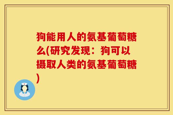 狗能用人的氨基葡萄糖么(研究发现：狗可以摄取人类的氨基葡萄糖)
