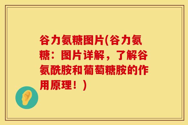 谷力氨糖图片(谷力氨糖：图片详解，了解谷氨酰胺和葡萄糖胺的作用原理！)