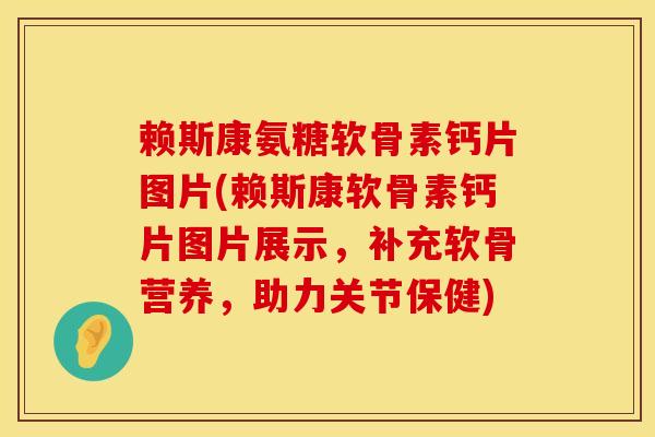 赖斯康氨糖软骨素钙片图片(赖斯康软骨素钙片图片展示，补充软骨营养，助力关节保健)