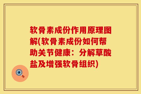 软骨素成份作用原理图解(软骨素成份如何帮助关节健康：分解草酸盐及增强软骨组织)