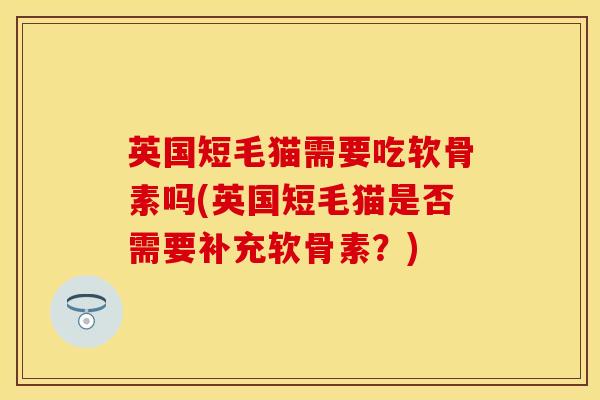 英国短毛猫需要吃软骨素吗(英国短毛猫是否需要补充软骨素？)