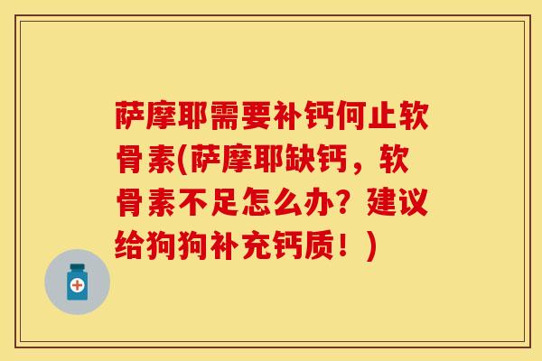 萨摩耶需要补钙何止软骨素(萨摩耶缺钙，软骨素不足怎么办？建议给狗狗补充钙质！)