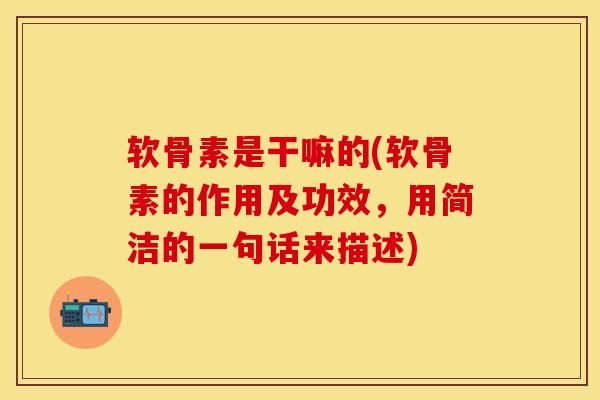 软骨素是干嘛的(软骨素的作用及功效，用简洁的一句话来描述)
