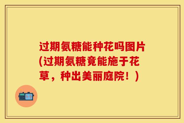 过期氨糖能种花吗图片(过期氨糖竟能施于花草，种出美丽庭院！)