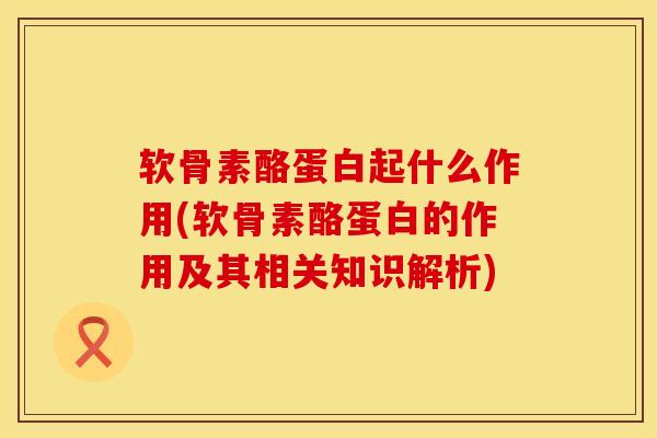 软骨素酪蛋白起什么作用(软骨素酪蛋白的作用及其相关知识解析)