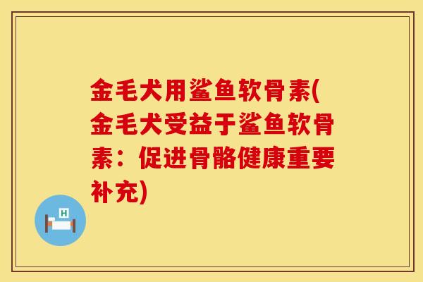 金毛犬用鲨鱼软骨素(金毛犬受益于鲨鱼软骨素：促进骨骼健康重要补充)