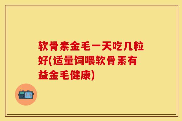 软骨素金毛一天吃几粒好(适量饲喂软骨素有益金毛健康)