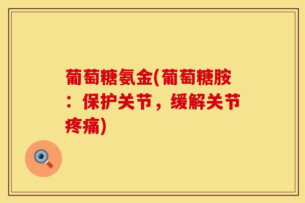 葡萄糖氨金(葡萄糖胺：保护关节，缓解关节疼痛)