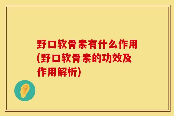 野口软骨素有什么作用(野口软骨素的功效及作用解析)