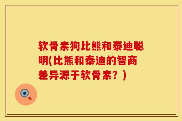 软骨素狗比熊和泰迪聪明(比熊和泰迪的智商差异源于软骨素?)
